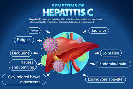 Image result for hepatitis symptoms