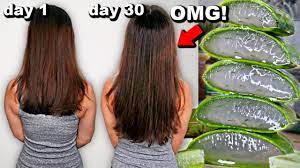 Aloe vera for hair growth: 30 Days Of Aloe Vera For Hair Growth Before And After Results Youtube