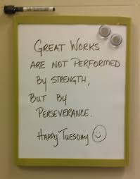 We have many reasons to love tuesdays. Happy Tuesday Funny Quotes Quotesgram