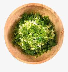 transparent cilantro clipart coriander free transparent clipart clipartkey transparent cilantro clipart