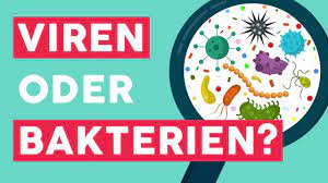 Viren Und Bakterien Die Wichtigsten Unterschiede Youtube