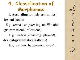 It is difficult to say what they mean but easier to say what they do. Morphemic Structure Of The Word 1 Morphological System