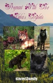 Pregnant With The Alpha's Triplets