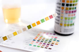 We did not find results for: What Are The Different Panel Drug Tests Arcpoint Labs Of Renton