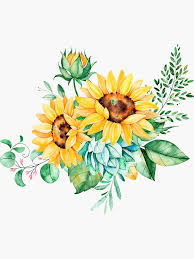 Sunflower Bouquet Sunflower Bunch Sunflowers Watercolor Painted Sunflowers Sticker In 2020 Watercolor Sunflower Sunflower Drawing Sunflower Watercolor Painting