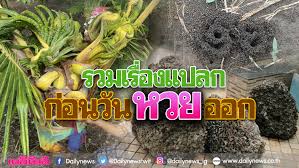 People who carry more weight around their middle than their hips may be at a. 5mlzxjijojuuhm