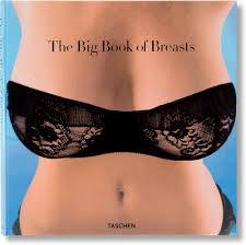 The Big Book of Breasts: Hanson, Dian: 9783822833032: Books - Amazon.ca