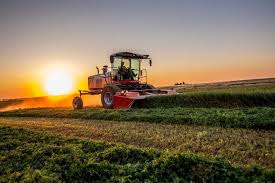Image result for Agricultural Yellow 2000 Fleet
