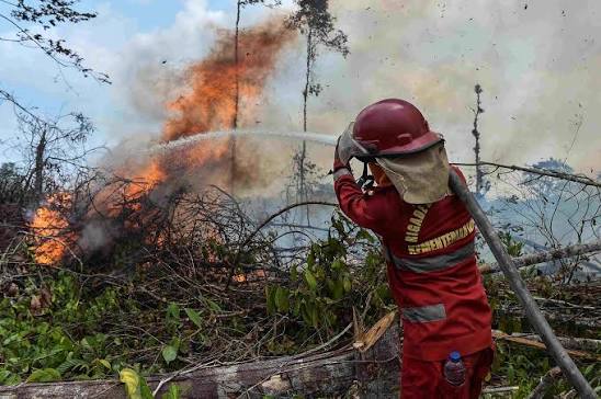Dalam Penanganan Karhutla Pemerintah Prioritaskan Keselamatan dan Perlindungan Anak