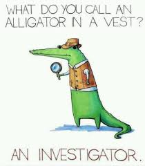 Pin On Funny