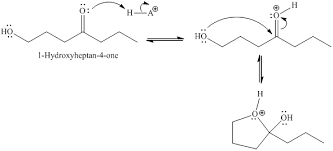 Salt 4541 chemistry chapter 8 5. Solved Chapter 5 Problem 26p Solution Organic Chemistry As A Second Language 3rd Edition Chegg Com