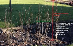 Image result for site:byggahus.se klippa