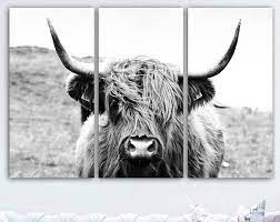 Highland Cow Print Black And White Cow Wall Art Farm Animal Photography Prints Cow Decor Modern Farmhouse Decor Poster Print Artwork Highland Cow Print Highland Cow Highland Cow Pictures