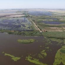 The park is a part of the great plain (alföld). Hortobagy Ramsar Sites Information Service