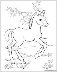 Encourage children to color by providing lots of access to coloring pages and crayons. Baby Horse Coloring Pages Horse Coloring Pages Coloring Pages For Kids And Adults