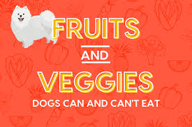 Vegetable oils can lead to diarrhea and vomiting, which you want to avoid. 39 Vegetables And Fruits Dogs Can And Can T Eat Pupford