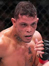 Cartel todas as lutas