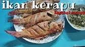 Jenis makanan ini sangat mudah ditemukan baik di pinggir jalan sampai di restoran. Ikan Kerapu Goreng Dengan Bumbu Sederhana Enak Dan Garing Youtube