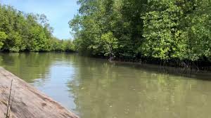 Distance between ulu tiram and kampung pasir gudang baru is 16 kilometers (10 miles) in malaysia. Pot Memancing Di Kota Tinggi Johor By Dso Buntal
