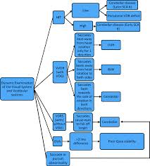 Image result for Cerebellar Function Test