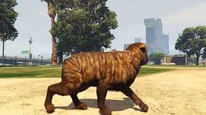 Gta 5 Kopek Oldum Youtube