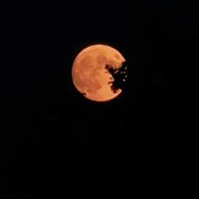 Seen from earth, illuminated fraction of the moon surface is 100%. Stream Ingo Sanger July 2021 By Ingo Sanger Listen Online For Free On Soundcloud