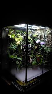 Paludarium