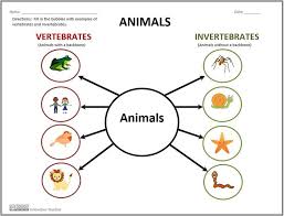 Vertebrates And Invertebrates Vertebrates Invertebrates