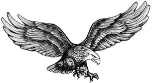 Black And White Flying Eagle Tattoo 2 American Flying Eagle Temporary Fake Tattoo Waterproof Freedom Body Transfers Fake Tattoos Eagle Chest Tattoo Eagle Tattoos