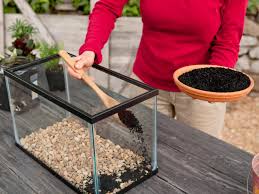 Add an inch or two of pea gravel to the bottom of a clean fish tank, followed by sterilized potting soil several inches deep. How To Make A Terrarium How Tos Diy