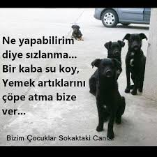 Ozlem E Cuneray Ozlemcnry Instagram Photos Websta Dog Lovers Animals Dogs