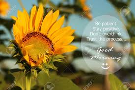 This collection of quotes about sunflowers will help to brighten your day. Sunflower Photography Quotes Happy Quotes About Sunflowers Quotesgram Sunflower Quotes Dogtrainingobedienceschool Com