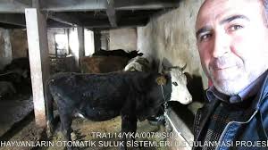 Otomatik Hayvan Sulugu Projesi Refahiye Erzincan Youtube