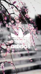 Adidas wallpaper hd images download. Adidas Wallpaper And Pink Image Hintergrund Iphone Handy Hintergrund Fotografien Hintergrunde