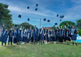 Image result for BALI Score