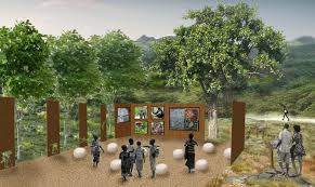 Image result for Deinbollia kilimandscharica