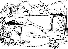 Here we have a variety of beautiful forests … Stork Coloring Pages Best Coloring Pages For Kids In 2021 Animal Coloring Pages Coloring Pages Cute Coloring Pages