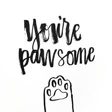 You Re Pawsome Cat Puns Pet Quotes Cat Puppy Quotes Cat Quotes