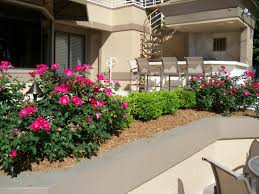 Maybe you would like to learn more about one of these? Knockout Roses And Boxwoods Small Front Yard Landscaping Boxwood Landscaping Front Yard Landscaping