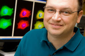 Chaperone protein subverts removal of glaucoma-causing protein, USF-led  study finds