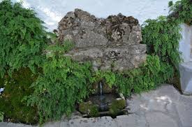 Nacimiento de Cuevas del Becerro (Rincón Singular)