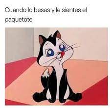 Frases Memes Y Imagenes De Michis 16 Chiste De Novios Memes Espanol Graciosos Frases Tentadoras