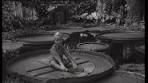 De bloeiende Victoria Regia in de Hortus Botanicus (1952) - YouTube