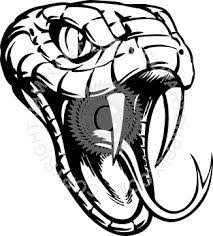 Pin By Paul Warner On Snakes Snake Drawing Snake Art Snake Illustration