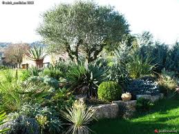 Le Forum Des Fous De Palmiers 38 Jardin A Vienne Amenagement Jardin Olivier Jardin Massif Jardin Mediterraneen