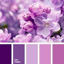 Lavender and lilac are also the two similar kind of colors, which are further shades of purple color though people often get confuse while differentiating them from each other. Resource That Helps You In Color Selection Specially Created With This Aim It Is The Generator O Color Palette Pink Purple Color Palettes Gold Color Palettes