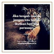 60 mutiara kata tentang kehidupan dan kejayaan. Jika Tengah Marah Jangan Kau Terlalu Ikutkan Hati Dan Perasaan Mutiarakata Marah Perasaan Pengikut