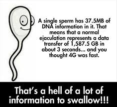 To taste and swallow jizz. Funny Pictures Of The Day 101 Pics Funny Quotes Humor Funny Pictures
