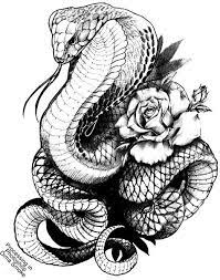 17 Super Ideas Tattoo Snake Oriental Snake Drawing Snake Tattoo Design Cobra Tattoo
