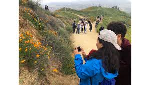 ⁠ ⁠ #bringitle #lakeelsinore #walmart @walmart #shoplocal pic.twitter.com/gcqhlwjrbd. Lake Elsinore Poppy Fields Draw Big Crowds Again And At Least One Proposal Press Enterprise